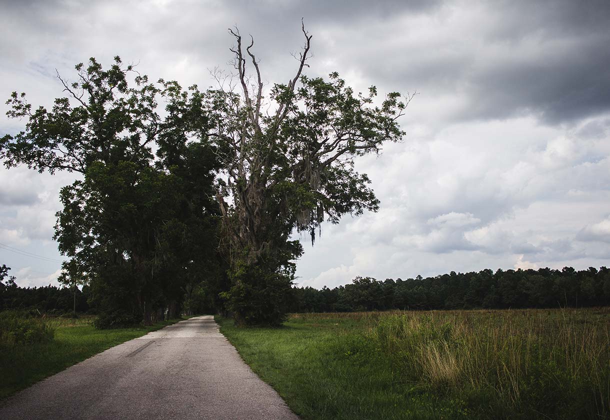 Photo by Ethan Sykes on Unsplash
