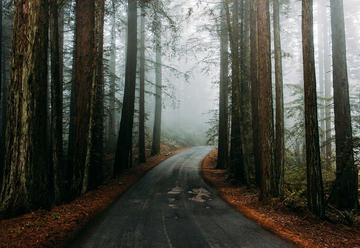 Photo by Spencer Backman on Unsplash