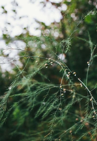 Photo by Eli DeFaria on Unsplash